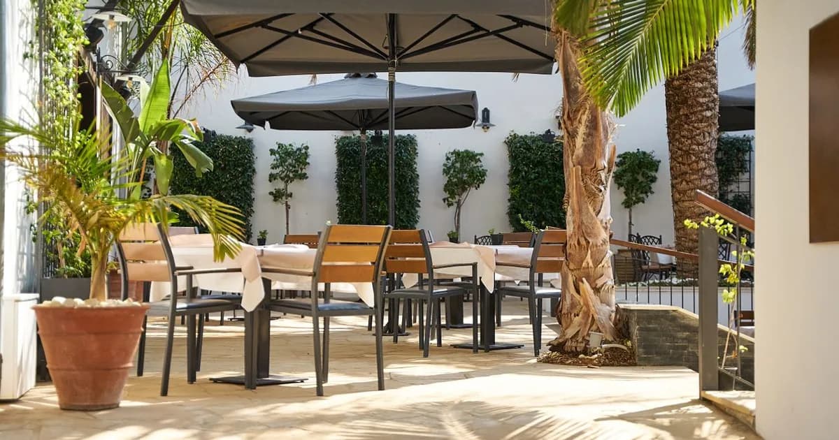 Florida restaurant patio dining with palm trees