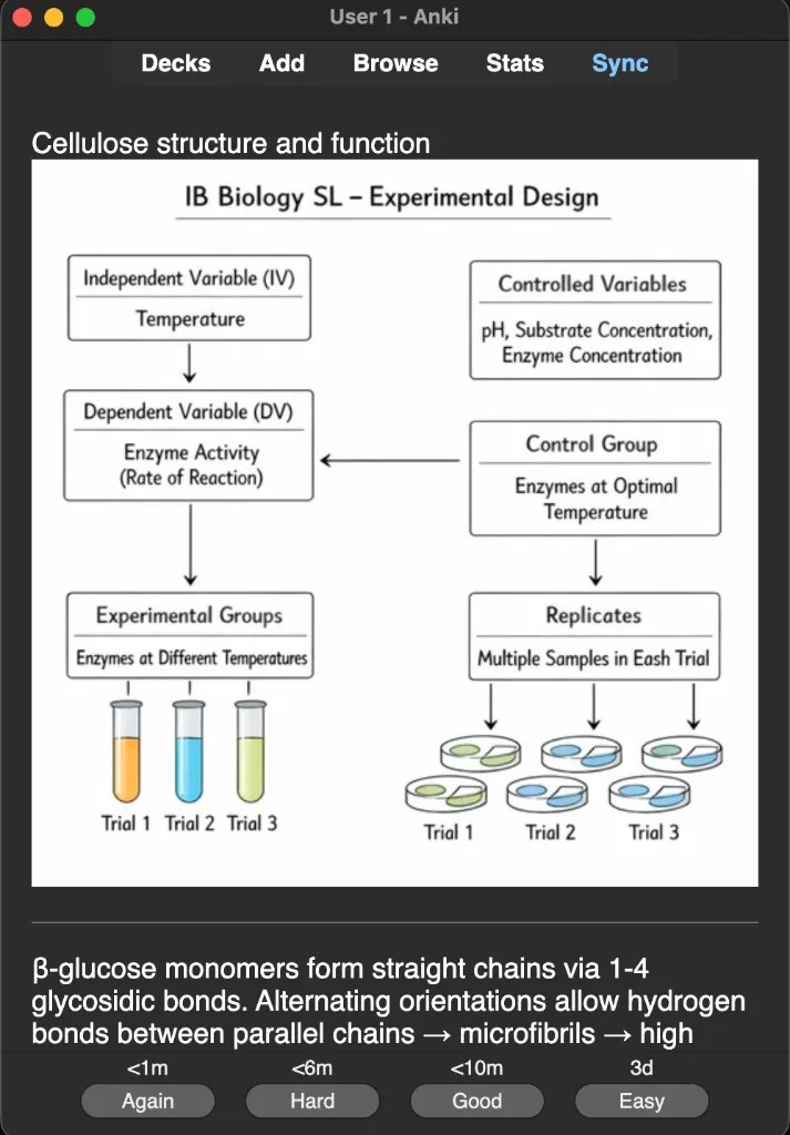 Sample Anki card: Cellulose structure and function
