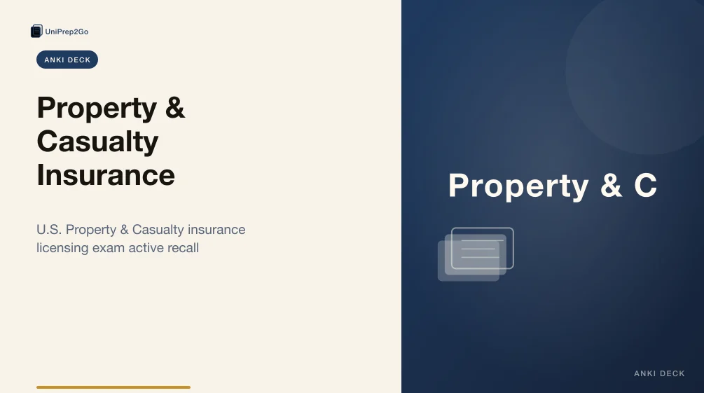 Property & Casualty Insurance product preview