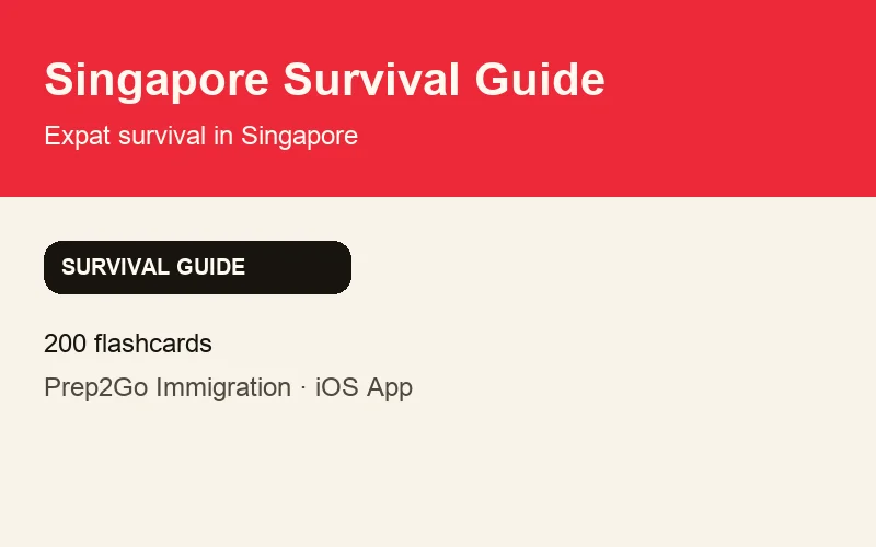 Singapore Survival Guide product preview